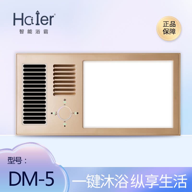 HCIIER 智能电器 (DM-5)风暖风浴霸灯集成吊顶嵌入式智能浴室暖风机取暖器图片