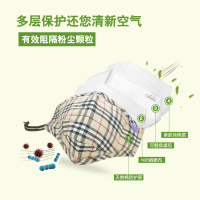艾贝尔成人棉布口罩防晒防尘盒装1只内附2片滤片 防雾霾防汽车尾气防花粉