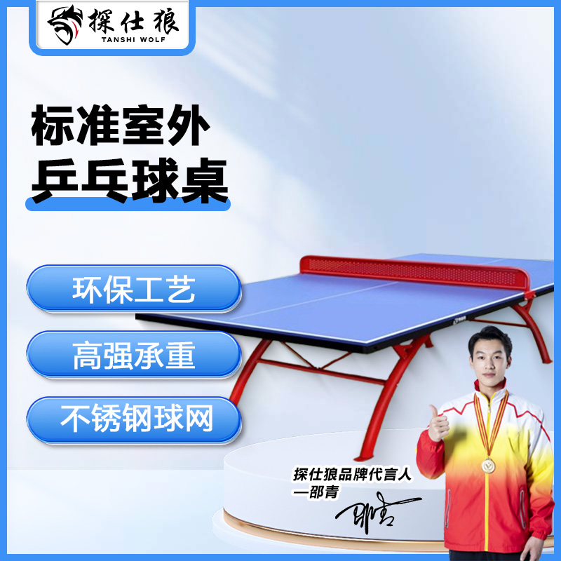 探仕狼 防日晒防雨淋标准室外乒乓球桌 TSL-DFB2