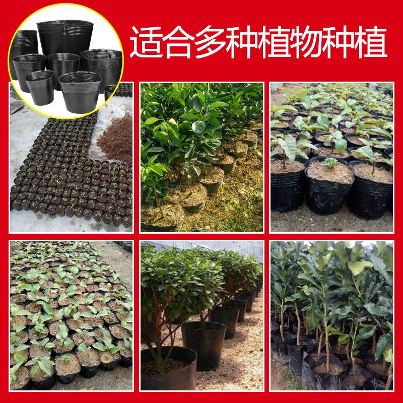 营养育苗杯塑料小碗一次性花盆黑色种植营养袋育苗袋育苗盆营养钵-育苗杯【10*10】;【10个装】高清大图