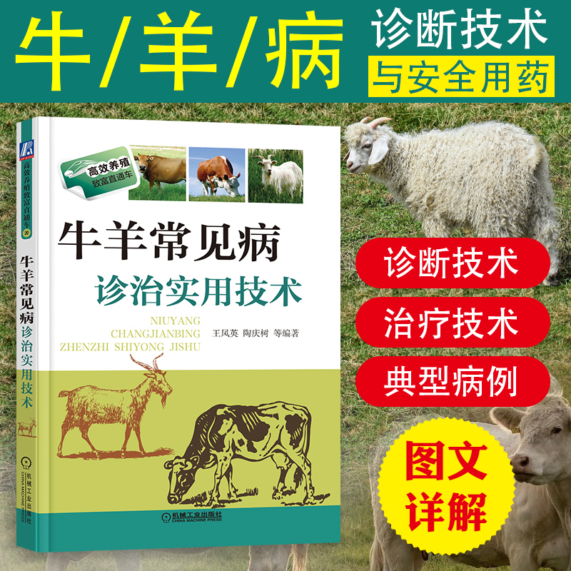 [正版]牛羊常见病诊治实用技术养殖致富直通车养殖牛羊大全牛羊病防治技术书兽医临床工具书畜牧兽医辅导书羊牛常见病防治措施高清大图