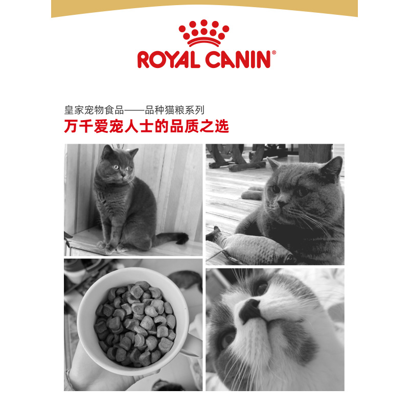 皇家(royal canin) 猫粮 英国短毛猫 成猫粮 英短 BS34 10kg