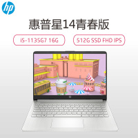惠普(HP)星14青春版14s-dr2515TU 笔记本电脑轻薄本14英寸学生学习网课电脑定制商务办公手提本(全新酷睿i5-1135G7 8G内存 1TB固态 长续航 快充电)银色
