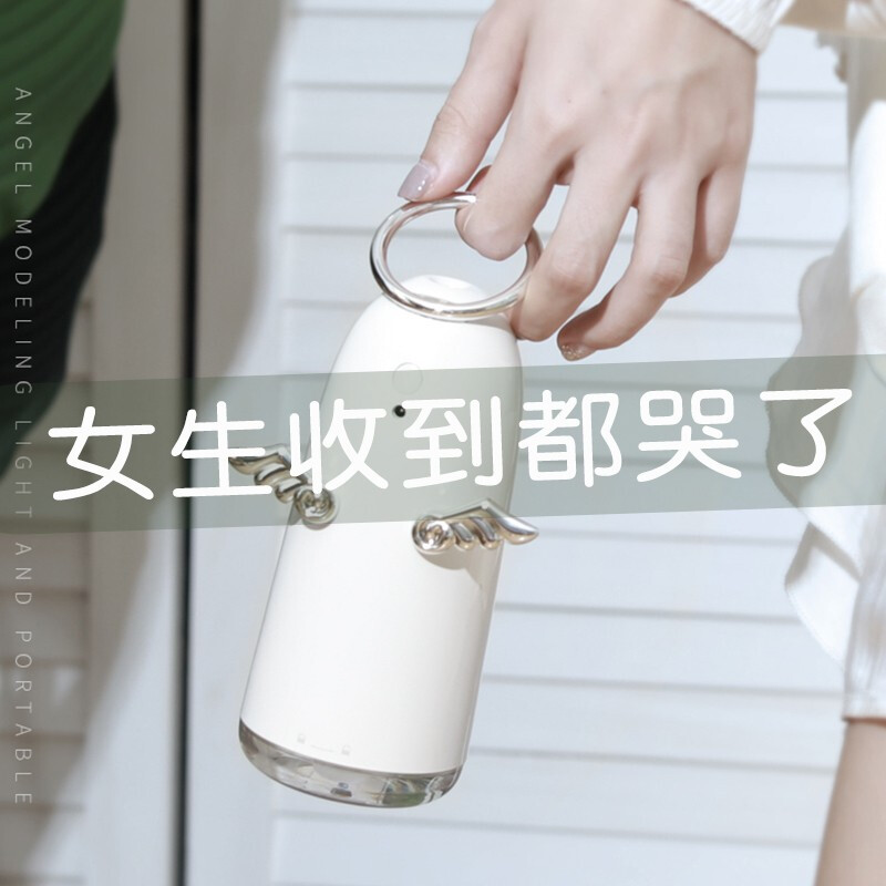 林檎感恩节生日女生送老婆女友创意礼品情人节结婚纪念品迷你加湿器可刻字公司年会礼品定制送领导 银色