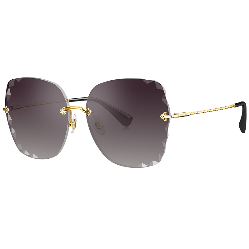 暴龙2020新款太阳镜女蝶形时尚潮流街拍墨镜金属框眼镜bl7099