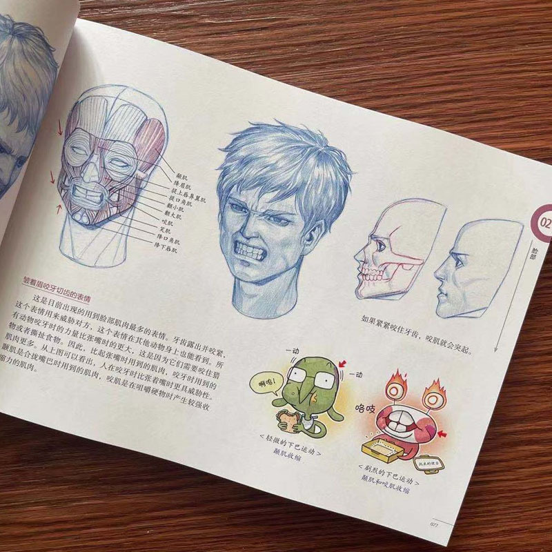 [正版]艺用动态解剖 (韩)金乐熹 著 王子衿 译 绘画(新)艺术 书店图书籍 北京科学技术出版社