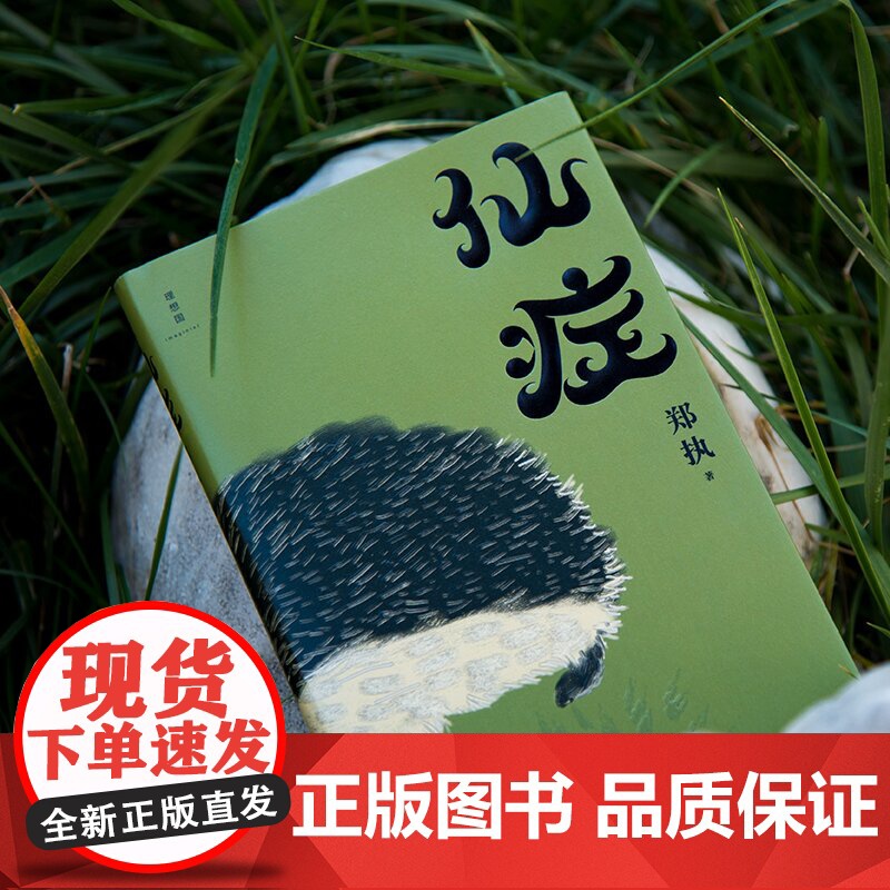 王俊凯葛优主演刺猬原著 仙症 郑执作生吞全新作品 顾长卫倾情推 荐匿名作家计划首奖之作中国文学小说作品集高清大图