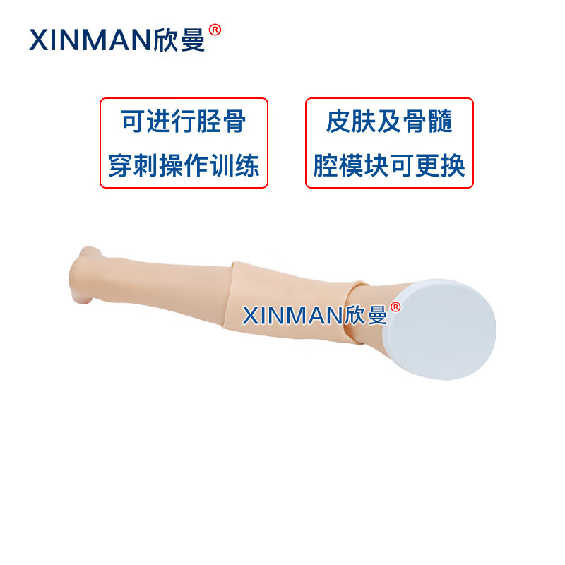 欣曼科教 胫骨穿刺模拟训练模块 骨髓腔穿刺输液训练模型XM-GC4高清大图