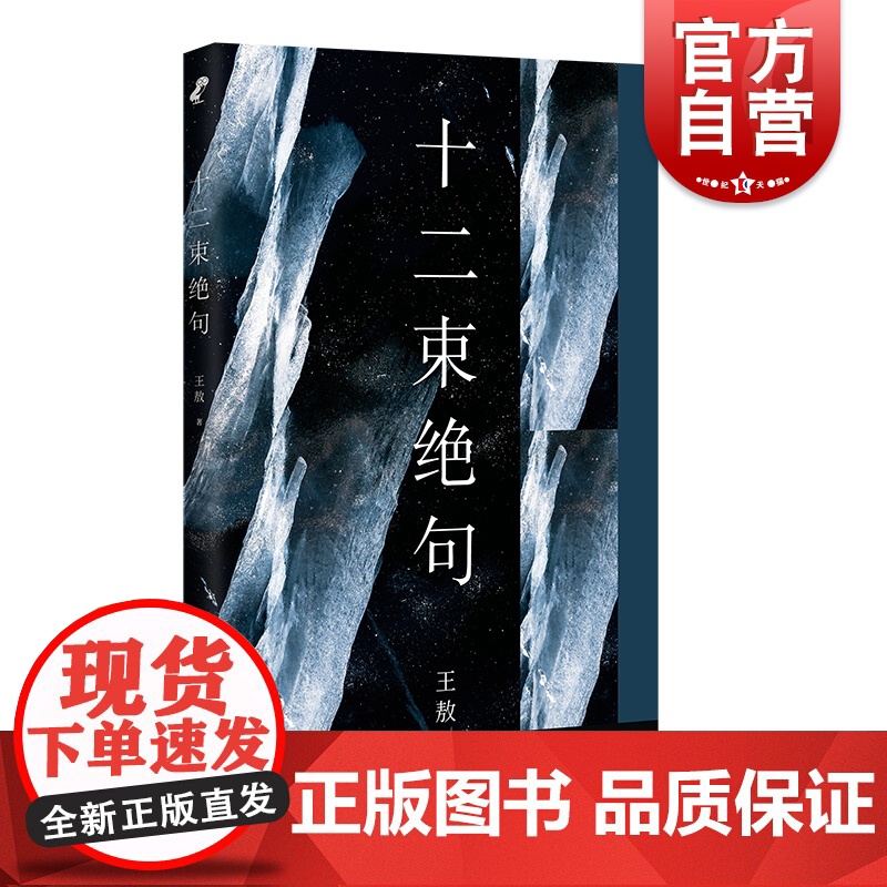 十二束绝句 王敖诗集纯绝句集中国当代文学作品上海文艺出版社另著绝句与传奇诗