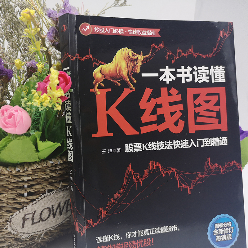 [正版]4本 新手入门+看盘技巧+K线图+股票入门基础知识与技巧股票投资书籍从零开始学炒股书籍操盘新手入门书大全股高清大图