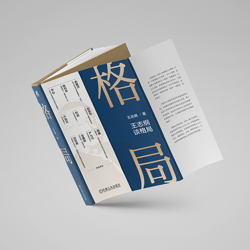 [正版]王志纲2024新作王志纲谈格局 小道理服从大道理 战略思想认知破局战略管理咨询案例 智纲智库企业经营管理书籍高清大图