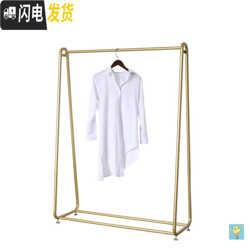 三维工匠网红衣架落地晾衣架轻奢卧室单杆式室内晒挂衣架 纳米金ins晾衣杆 纳米金色长120高160图片