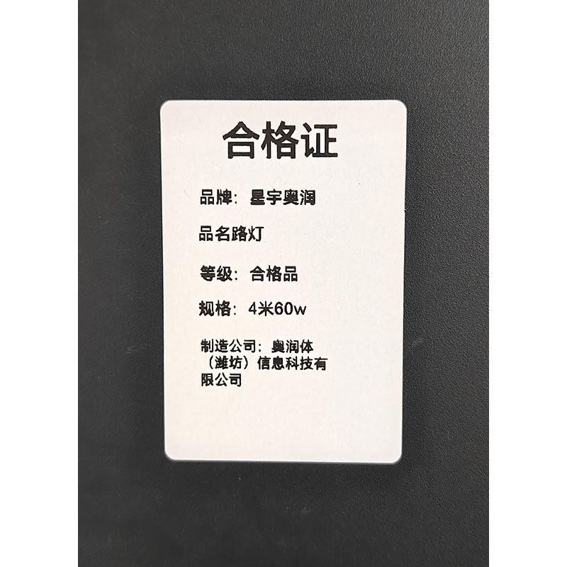 星宇奥润 路灯 4米60w 个高清大图