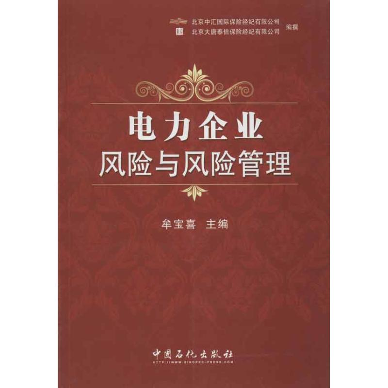 正版新书]电力企业风险与风险管理牟宝喜 编 著9787511417954高清大图