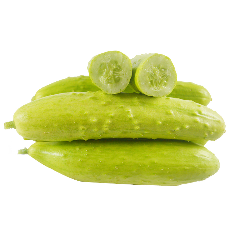 蔬果哆山东烟台特产海阳白黄瓜水果黄瓜25kg