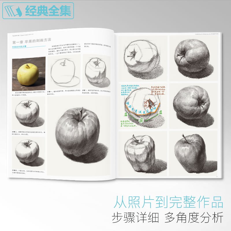 [正版] 素描单个体静物书临摹范本大画结构解剖与透视训练入门绘画画自学教程材精湛顶陶配罐步骤敲门砖美术高联考 杨建飞