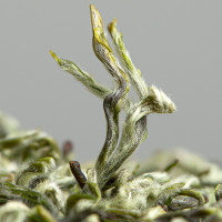 特级蒙顶山甘露500g