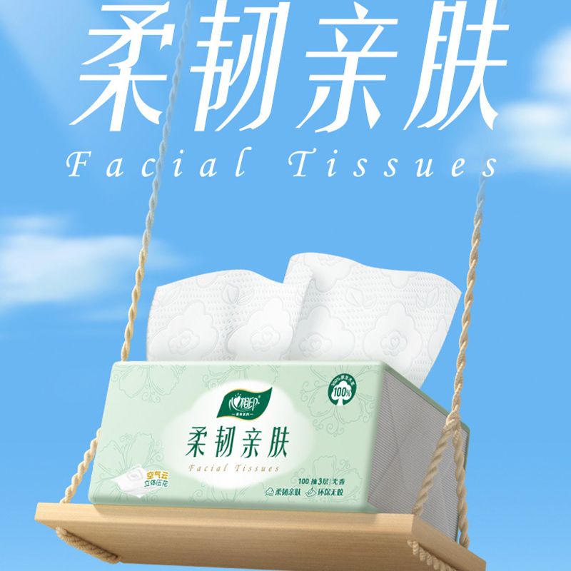 心相印2DT100(包装)云感柔韧亲肤三层100抽塑装抽纸ZTA0005593(6包*2提)高清大图