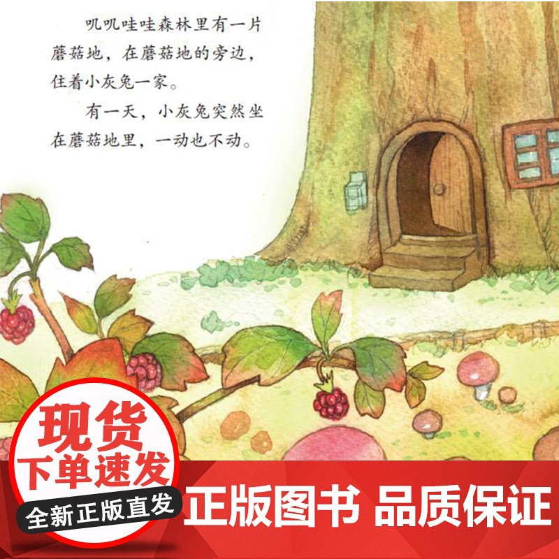 儿童数学启蒙绘本3到6岁幼小衔接亲子阅读幼儿益智早教书4一6岁孩子5岁以上适合大班中班幼儿园专用认识数字教材睡前童话故事高清大图