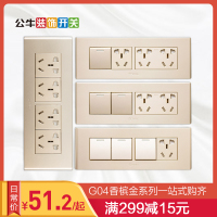 bull公牛开关插座G04香槟金118型二十孔12孔四位大盒暗装电视电脑电话五孔其他电源插座