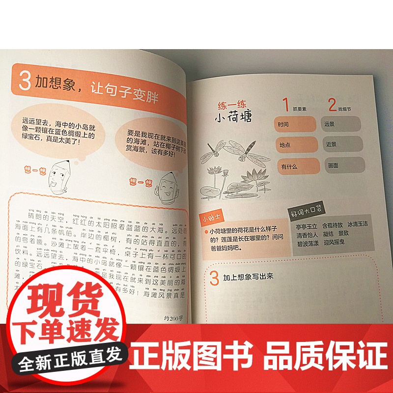 小学一年级二年级看图写话就三步从20字到100 小学生作文 看图说话写话1-2年*学生作文同步练习 6-12岁高清大图
