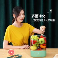 艾贝丽分体式果蔬净化仪ABL-GS13