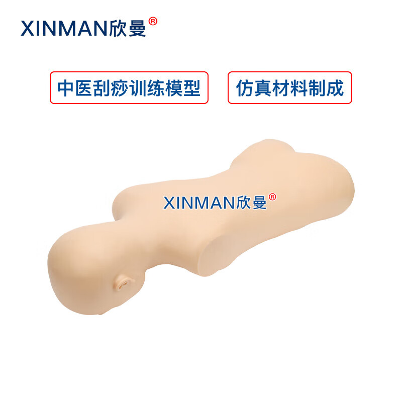 欣曼科教 中医刮痧训练模型 刮痧练习模拟人 中医教学用人体模型高清大图