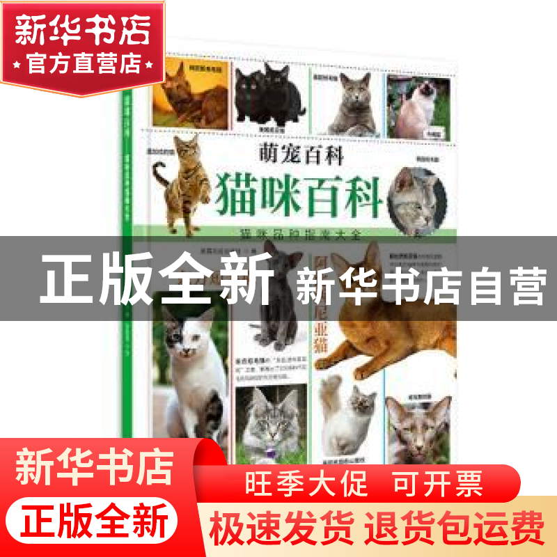 正版 猫咪百科:猫咪品种指南大全 【英】北巡出版社 甘肃科学技术 9