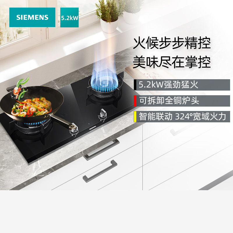 西门子 ER8SR231MP 嵌入式大火力燃气灶天然气台式双灶蒸饭柜高清大图