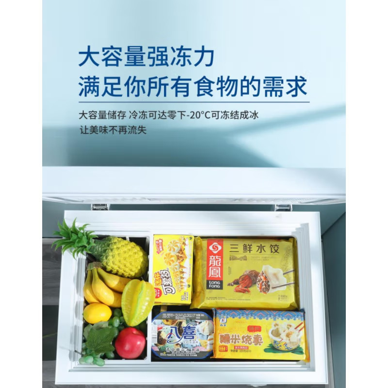 荣事达BD/BC-160A228D单温冰柜