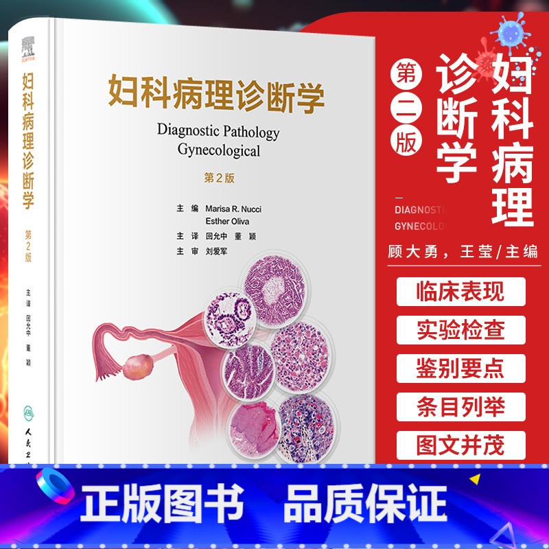 【正版】妇科病理诊断学 第2版第二版翻译版 回允中 董颖 人民卫生出版社 9787117354851实用妇产科学宫颈子