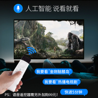 万佳（WAN JIA）55英寸 QLED量子点电视4K超高清人工智能语音网络wifi互联网液晶平板电视机