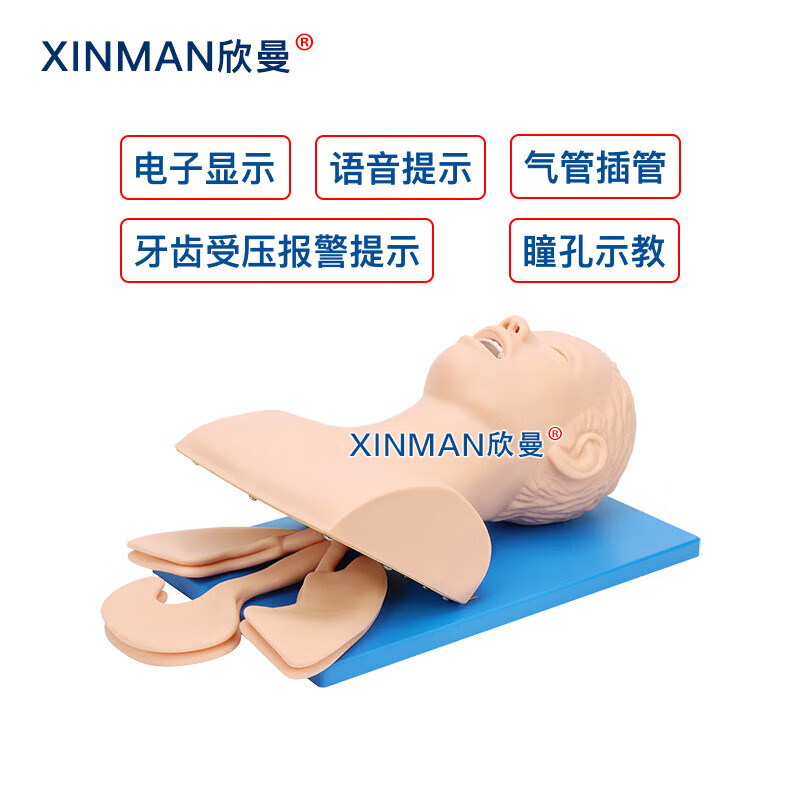 欣曼科教 电子人体气管插管操作训练模型 高级气道管理模拟人XM-5100高清大图