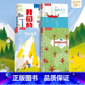 四本【雪山+海洋+城市+丛林】 【正版】 雪山和狼美地球绘本立体书-3-6-8-10岁-踏上远方的雪山珍惜身边的风-狼岁