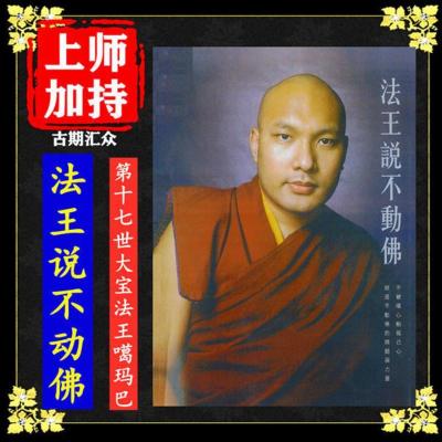 《法王说不动佛》第十七世大宝法王噶玛巴 高清16开大字体 佛教书