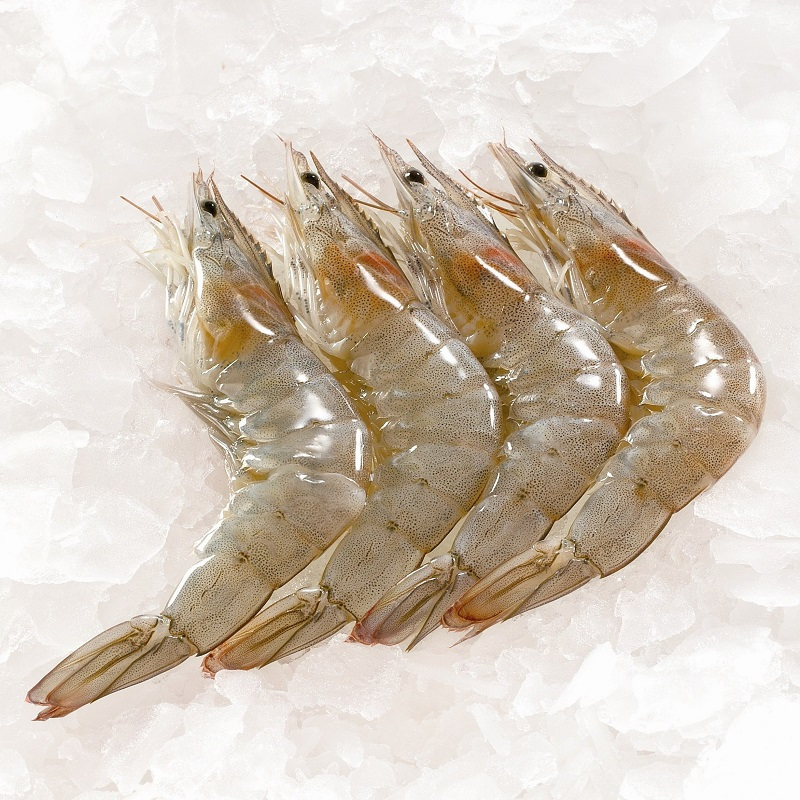 正大生冻白对虾300g