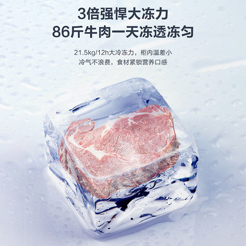 海尔(Haier)307升家用商用卧式冰柜冷柜冷冻柜小冰箱 减霜80% 一级能效节能 PCM内胆BC/BD-307HEM