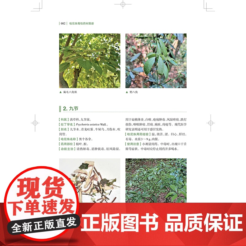 哈尼族毒性药材图谱 袁媛 付开聪 黄璐琦 药用植物名 哈尼族名称 药用部位 功能主治 用药经验 上海科学技术出版社978高清大图