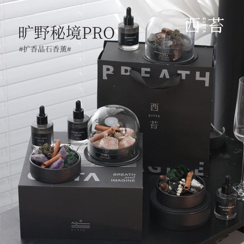 CITTA 香薰 旷野秘境PRO版晶石香薰卧室生日礼物送礼七夕礼物 紫色-乌木沉香升级版 旷野秘境升级版紫-乌木沉香高清大图
