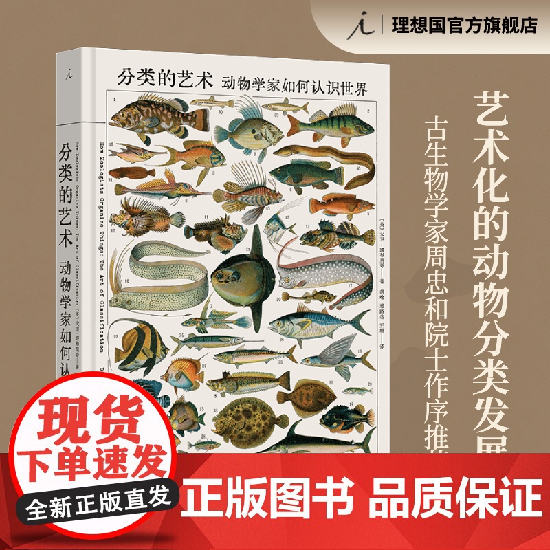 分类的艺术 动物学家如何认识世界 大卫 班布里奇 著 一部艺术化的动物分类发展史 理想国图书店高清大图