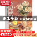 领悟色彩静物