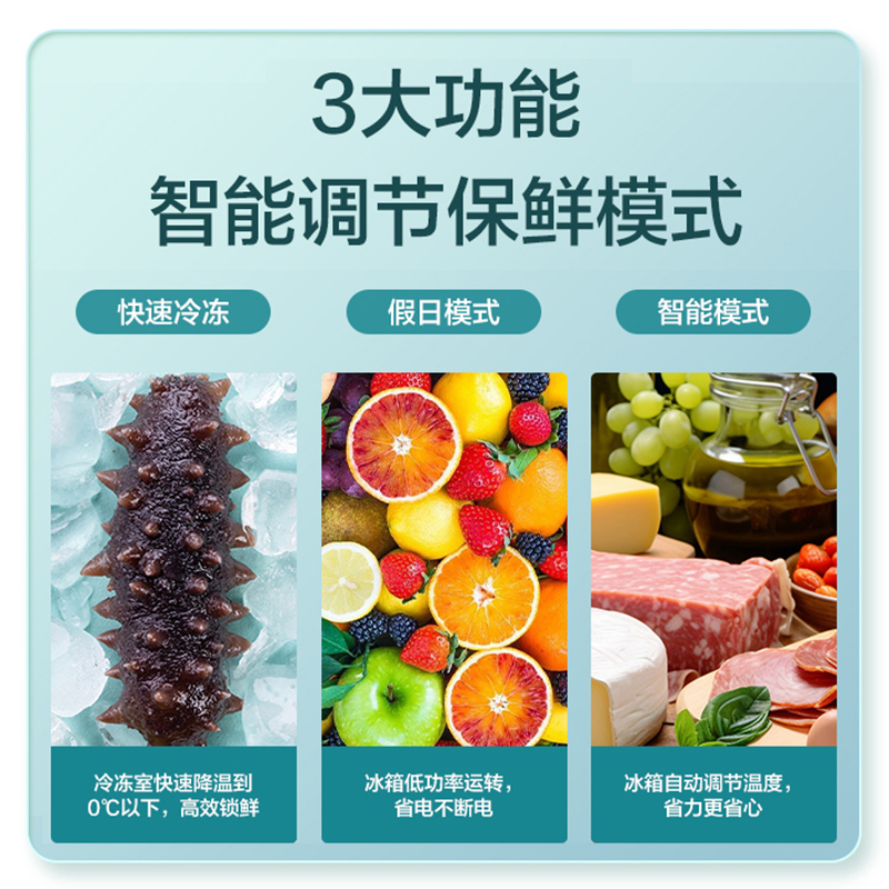 格兰仕电冰箱250L升两门双开门小型家用款宿舍出租房节能低噪省电BCD-250WE