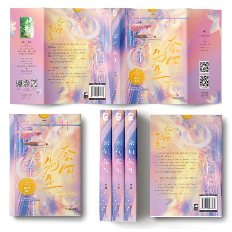 醉染图书奈何先生9787541163838高清大图