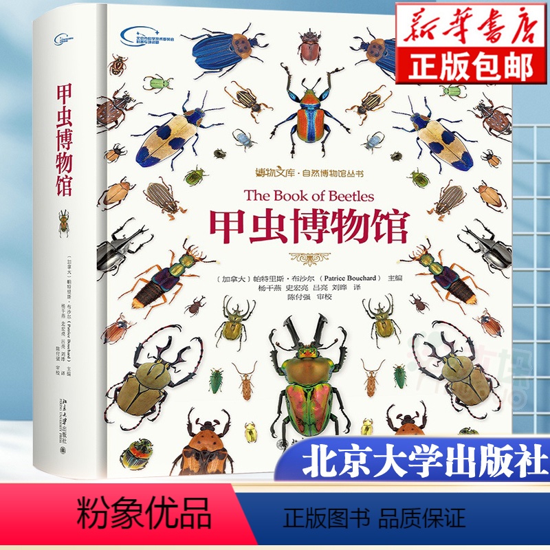 [正版]甲虫博物馆(精)/自然博物馆丛书/博物文库 科普读物 生物世界 动物 形态 尺寸和色彩令人目不暇接 科学家和采