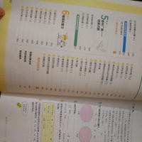 2019年春年正版一本我爱写作业小学数学六年级下册人教RJ