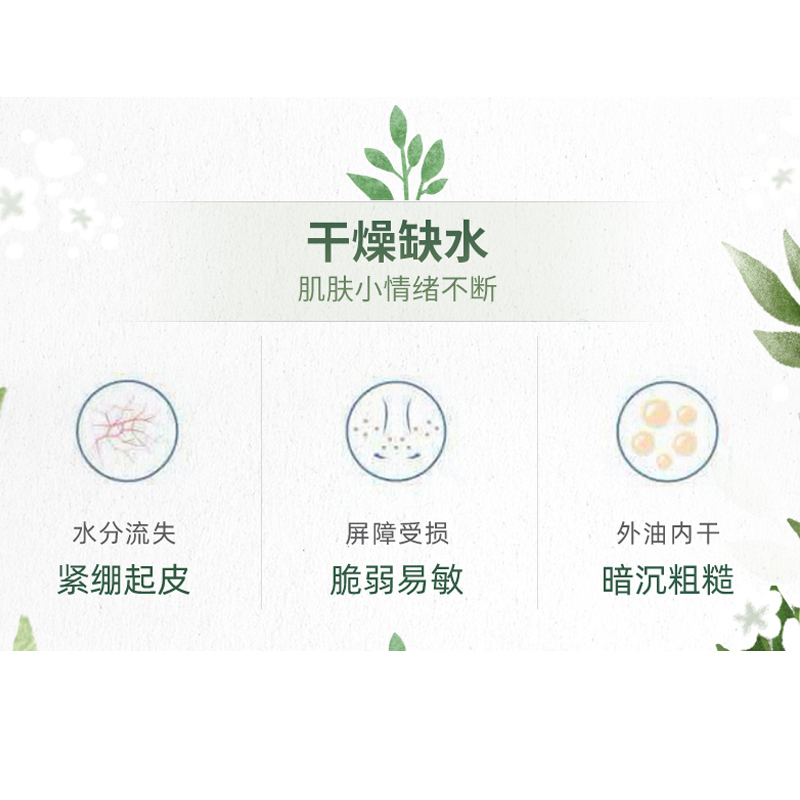 自然堂 ZHT-5XZXC1 雪茶平衡保湿面膜26ml×5片高清大图