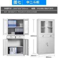 汉诺鑫威钢制文件柜办公资料柜铁皮档案柜带锁储物柜财务凭证柜中二斗器械柜