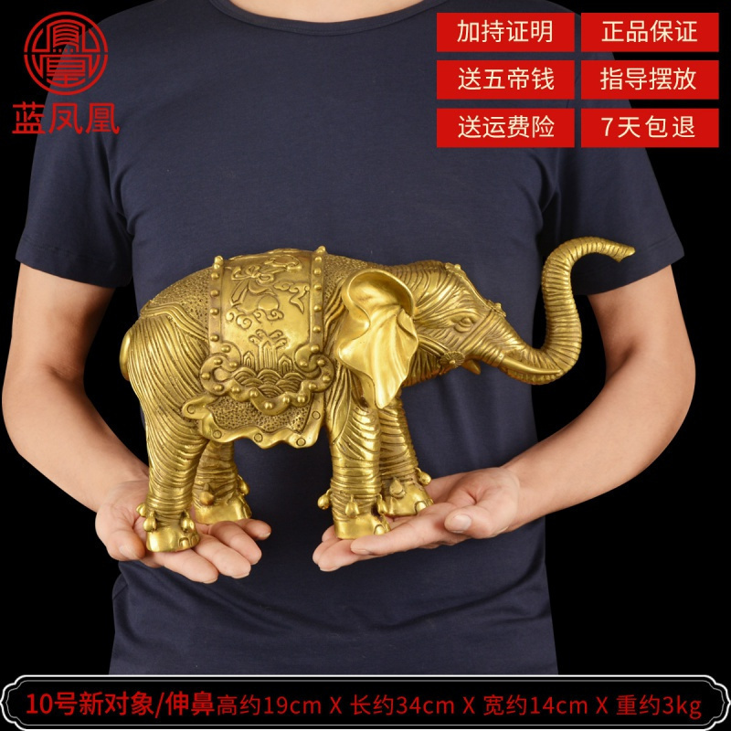 铜象摆件纯铜大象风水象镇宅一对吸水象特大号铜象工艺品 10号新对象伸鼻单只_48
