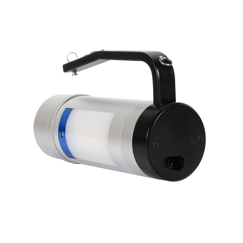 LHDQ 领航电器 多功能变压器漏油巡视工作灯 LH4100D/L 12W 22.2V 续航10h 冷光 IP68高清大图