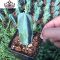 封后绯花玉多肉植物组合盆栽套餐仙人球室内开花肉肉植物仙人掌小绿植 花色龙神木(6cm) 裸根不带土